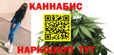 твердый Бийск