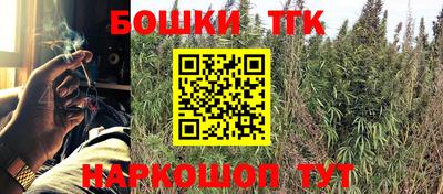 твердый Бийск
