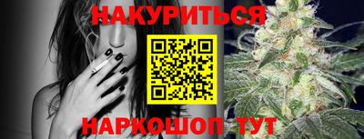 твердый Бийск