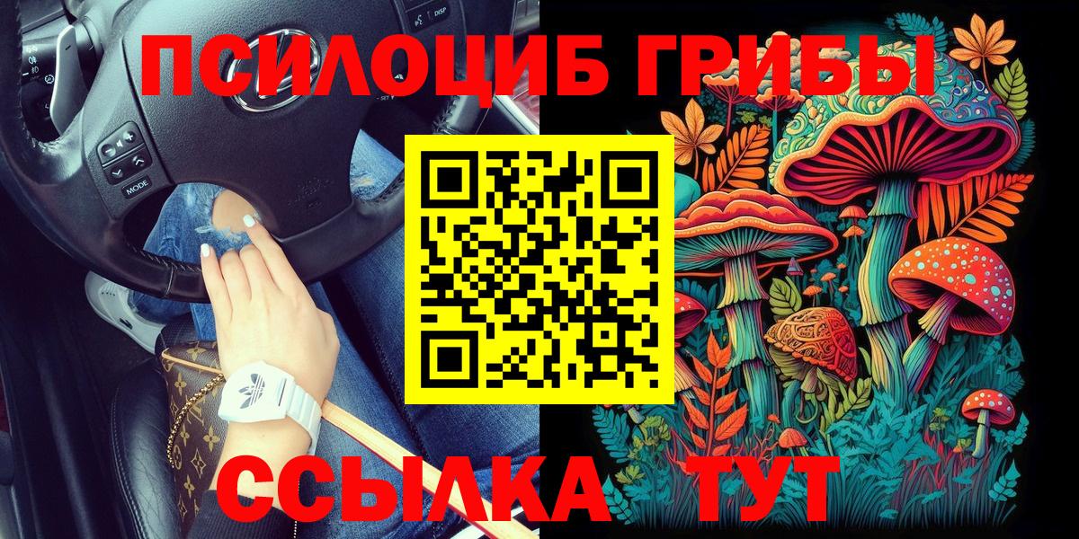Псилоцибиновые грибы Psilocybine cubensis  Вход с VPN  Кимовск  Псилоцибиновые грибы MAGIC MUSHROOMS 